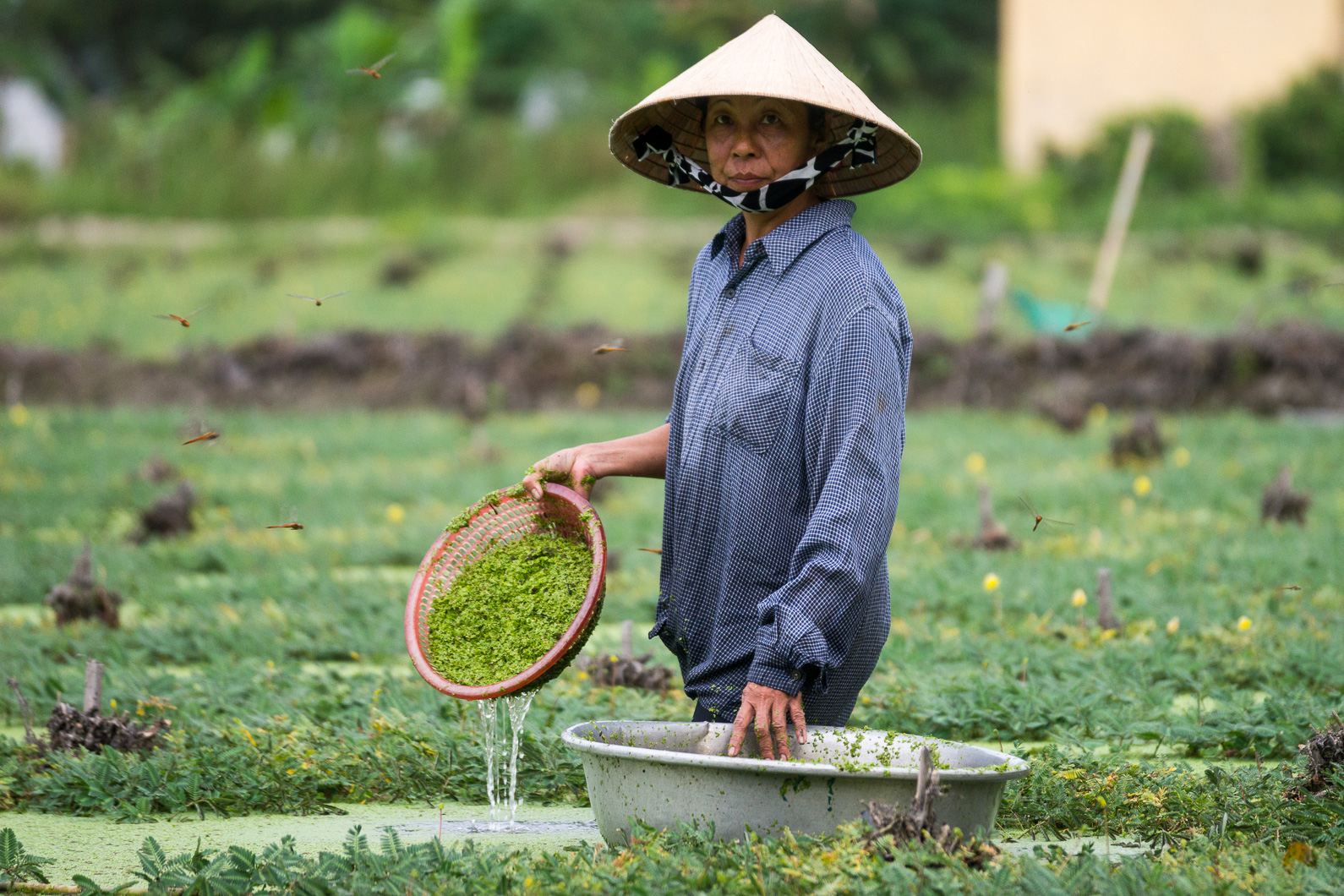 20141119 163454 Weg von can Tho nach Cai Be